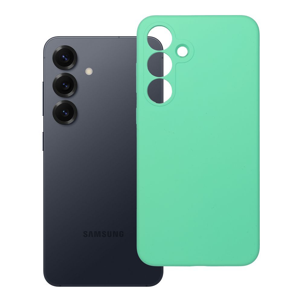 Husa pentru Samsung S25 Plus Silicone 2mm (Camera Protection) Compatible cu Magsafe Mint