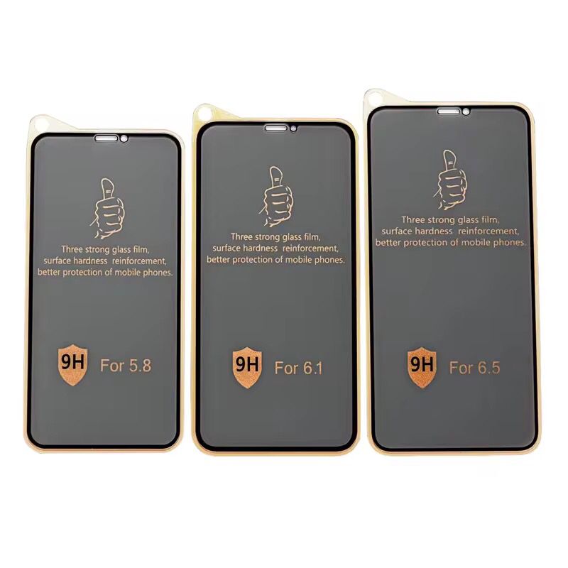 Folie Sticla 9h Privacy iPhone 11 Pro / iPhone X